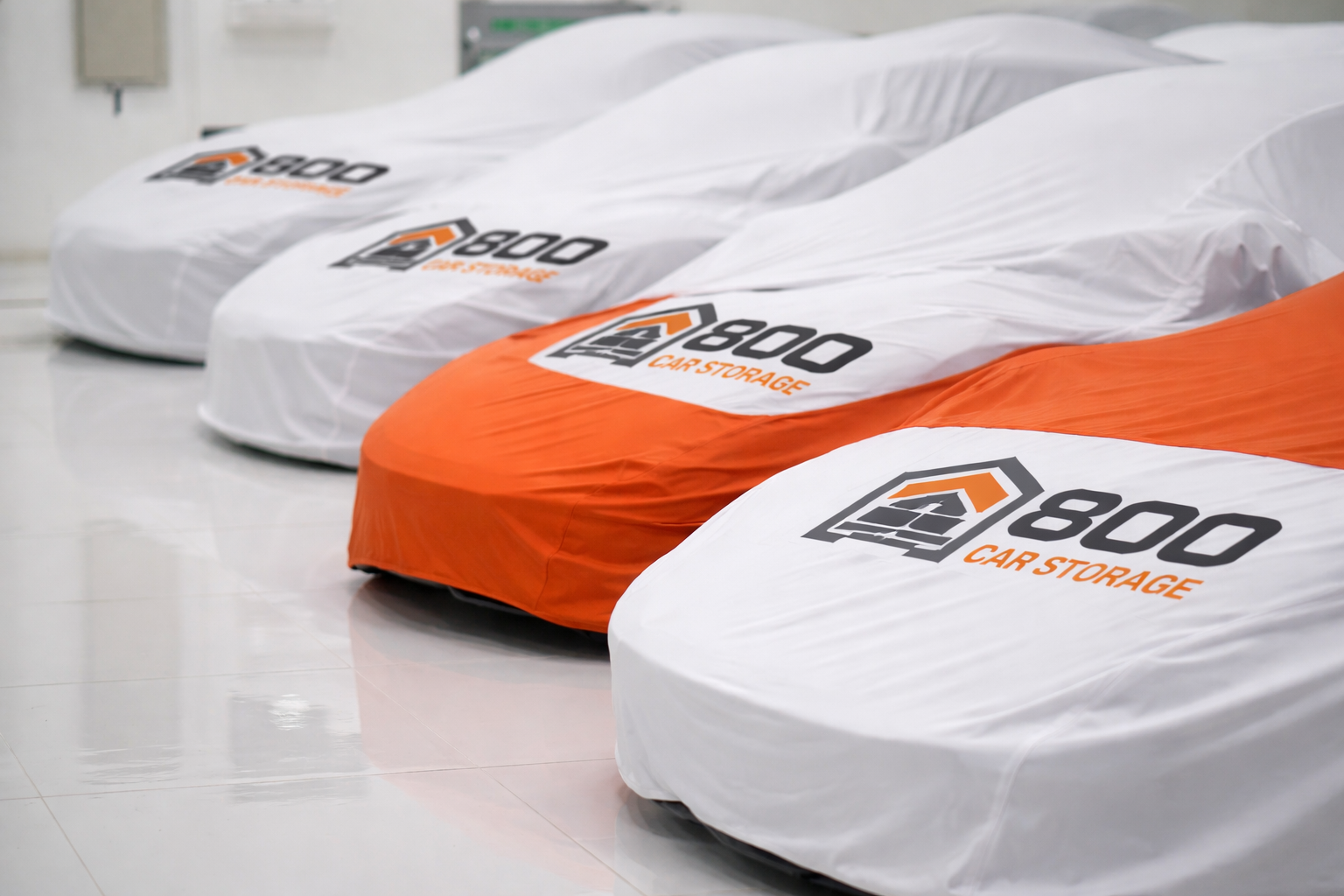 Copy-of-Copy-of-_DOO6562